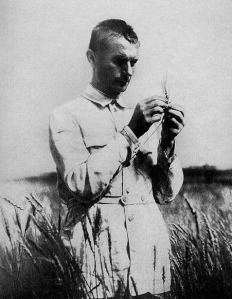 Lysenko_in_field_with_wheat